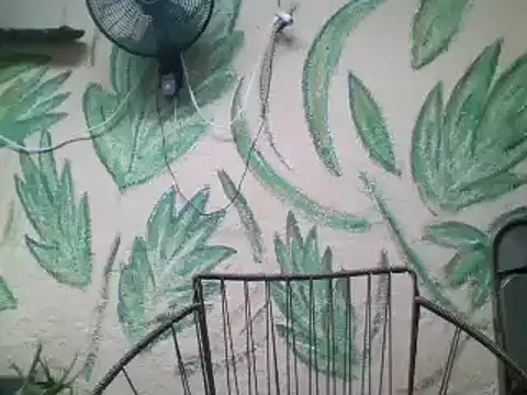 Snapshot of friendsloversex chatting on 03/21/25, 05:02 friendsloversex online show from 03/21/25, 05:02