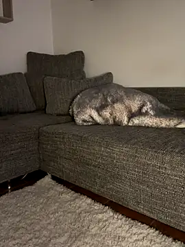 Snapshot of godspot_ chatting on 10/30/25, 08:20 godspot online show from 10/30/25, 08:20