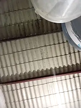 Snapshot of strip_1212 chatting on 03/08/26, 02:04 strip 1212 online show from 03/08/26, 02:04