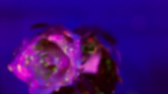 Snapshot of HeyBananas chatting on 01/18/26, 07:28 HeyBananas online show from 01/18/26, 07:28