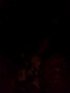 Hilkanna  online show from 03/08/26, 09:29