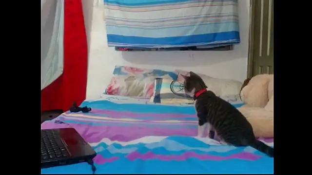 Snapshot of perverted_couple_- chatting on 12/23/24, 01:08 perverted couple - online show from 12/23/24, 01:08