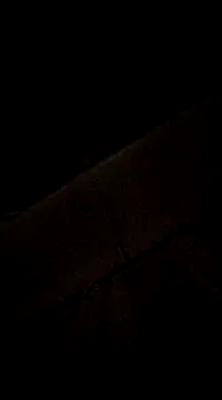 YuliannaFox online show from 12/06/24, 06:28