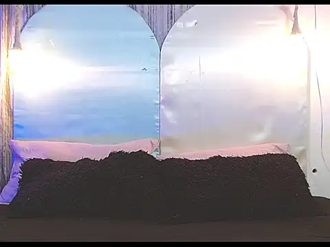 Snapshot of tylor_boy chatting on 01/07/26, 04:26 tylor boy online show from 01/07/26, 04:26