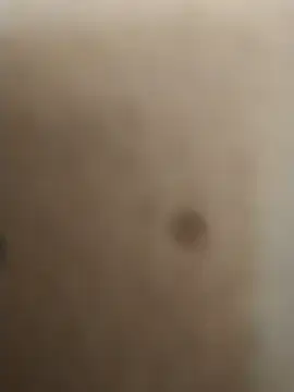 Snapshot of rohitlov150 chatting on 02/15/25, 09:05 rohitlov150 online show from 02/15/25, 09:05