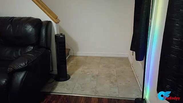 Thekodyy online show from 06/18/26, 04:46