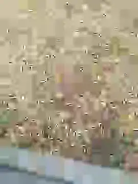 Mrveda66 online show from 02/10/26, 11:03