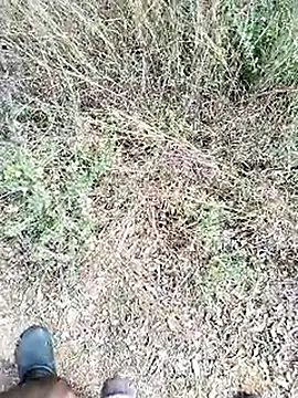 Mrveda66 online show from 02/23/26, 06:11