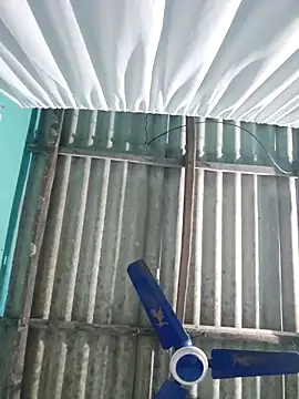 hotbaby 5 online show from 11/29/25, 01:08