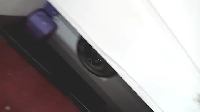 PetiteIvoryQueen19 online show from 03/07/25, 03:40