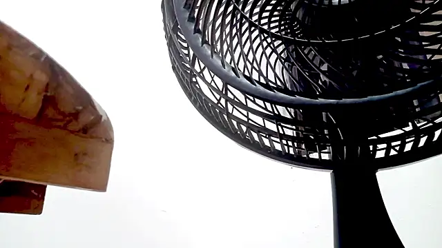 PetiteIvoryQueen19 online show from 02/14/26, 01:35