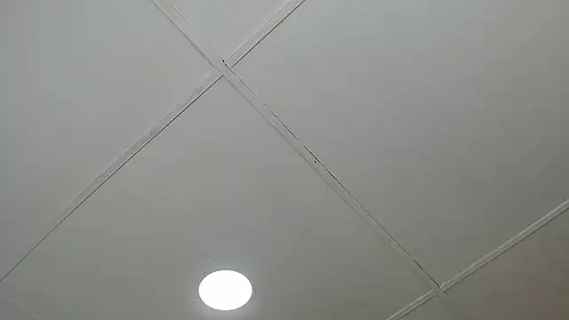 dannaberlin 0 online show from 03/08/25, 12:20