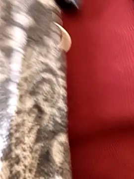 Ananya 34 online show from 12/03/25, 03:14