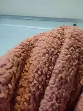 Snapshot of 911Calling chatting on 12/14/24, 04:01 911Calling online show from 12/14/24, 04:01