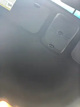 Snapshot of Watson4U chatting on 12/20/24, 07:17 Watson4U online show from 12/20/24, 07:17