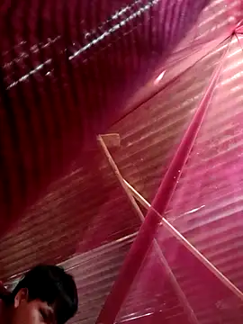 Huebolocko online show from 10/31/25, 09:05