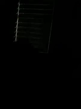 Snapshot of Rahul_sub chatting on 03/09/25, 12:31 Rahul sub online show from 03/09/25, 12:31