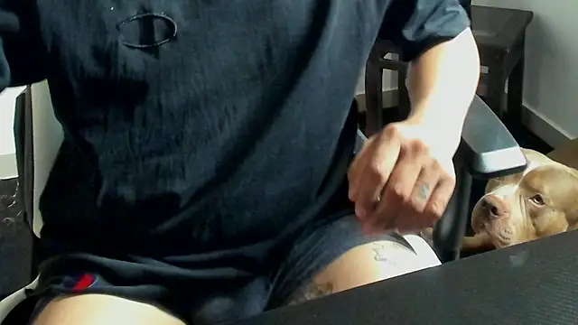 stebankechima online show from 10/15/25, 12:38