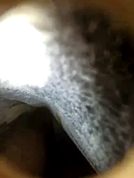 Snapshot of fankiey chatting on 10/20/25, 03:40 fankiey online show from 10/20/25, 03:40