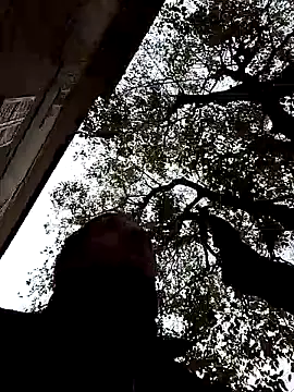 openlegsforyou online show from 11/22/25, 10:03