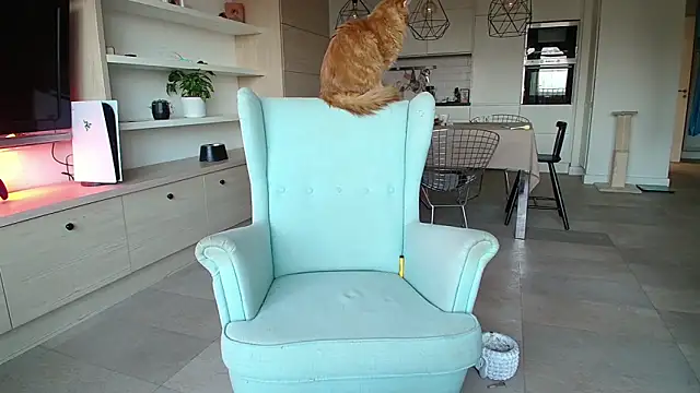 Kotis Foxy online show from 10/03/25, 02:58