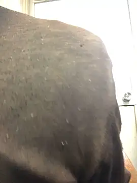 agaupt2 online show from 12/16/25, 10:48