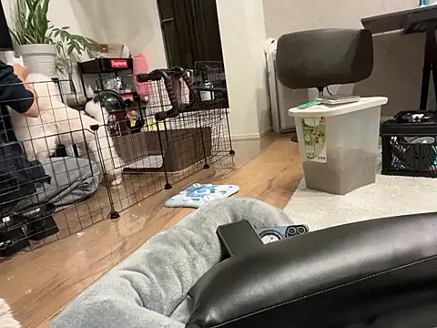 kensnb online show from 11/01/25, 09:11