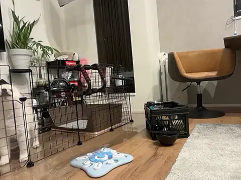 kensnb online show from 11/04/25, 08:57