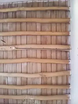 Snapshot of Atabey_65 chatting on 12/03/25, 12:03 Atabey 65 online show from 12/03/25, 12:03