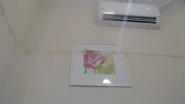 Snapshot of Only_Mane chatting on 01/14/25, 02:53 Only Mane online show from 01/14/25, 02:53