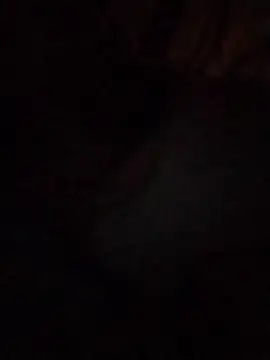 Snapshot of Work4Crypto chatting on 03/21/26, 04:28 Work4Crypto online show from 03/21/26, 04:28