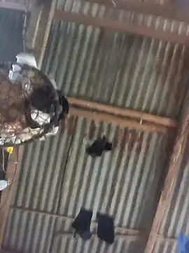 Snapshot of Reynold2608 chatting on 12/22/25, 08:50 Reynold2608 online show from 12/22/25, 08:50