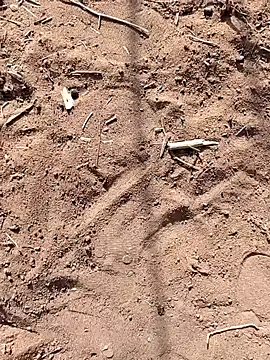 paugrande453 online show from 09/24/25, 10:51