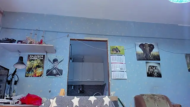 Snapshot of teddy_alan chatting on 01/26/25, 11:28 teddy alan online show from 01/26/25, 11:28