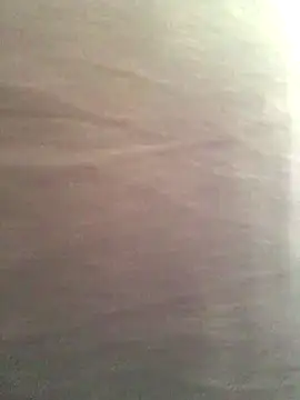 Miss oliviaa online show from 11/13/25, 03:33