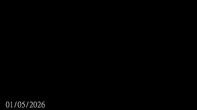 Bylie Hills online show from 05/01/26, 09:30