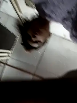 zoya khan25 online show from 12/28/24, 02:42