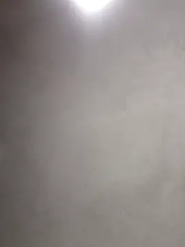  violetta - online show from 11/06/25, 11:00