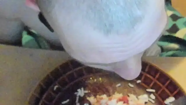 Snapshot of sexy264329 chatting on 03/07/25, 04:22 sexy264329 online show from 03/07/25, 04:22