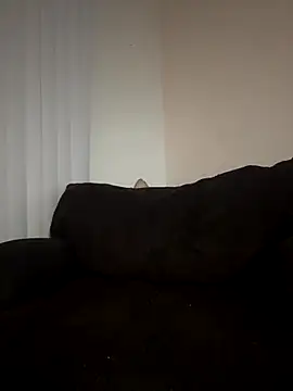 Snapshot of ladylavish chatting on 12/19/25, 02:29 ladylavish online show from 12/19/25, 02:29