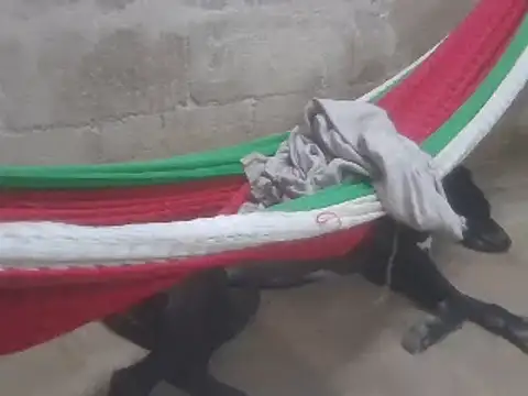 Snapshot of tripexnte chatting on 02/16/25, 11:26 tripexnte online show from 02/16/25, 11:26