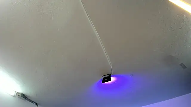 Amy Kiitty  online show from 11/21/25, 12:37