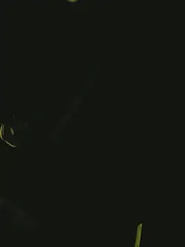 Snapshot of Pressure69mee chatting on 03/02/25, 10:59 Pressure69mee online show from 03/02/25, 10:59