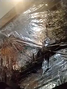 Snapshot of axelongshaft69 chatting on 12/19/24, 01:50 axelongshaft69 online show from 12/19/24, 01:50