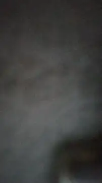 Snapshot of axelongshaft69 chatting on 02/25/25, 03:49 axelongshaft69 online show from 02/25/25, 03:49