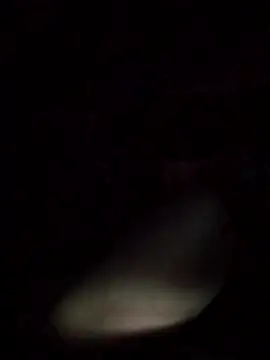 Snapshot of axelongshaft69 chatting on 03/09/26, 12:53 axelongshaft69 online show from 03/09/26, 12:53