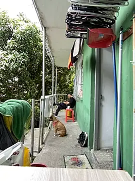 Jestebanano online show from 05/11/26, 02:45
