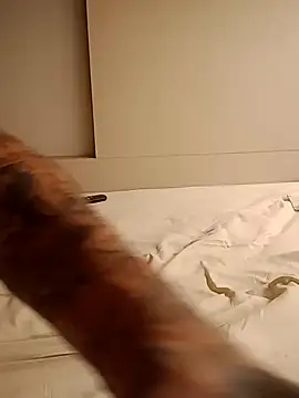 rolesexy online show from 01/19/25, 02:47