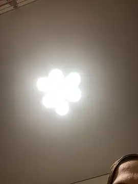 Janet Welder online show from 11/16/25, 12:05