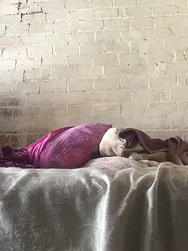 Snapshot of Sweet___Dick chatting on 01/30/25, 07:18 Sweet Dick online show from 01/30/25, 07:18